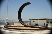 Enlarge photo 203
