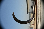 Enlarge photo 205