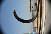 Enlarge photo 206