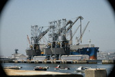 Enlarge photo 210