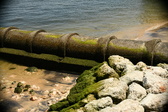 Enlarge photo 214