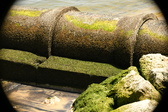 Enlarge photo 215