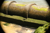 Enlarge photo 216