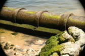 Enlarge photo 217