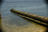 Enlarge photo 218