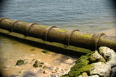 Enlarge photo 219