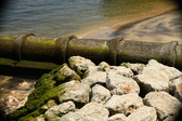Enlarge photo 220