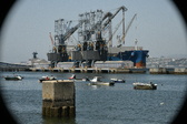 Enlarge photo 228