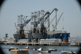 Enlarge photo 229