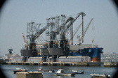 Enlarge photo 230