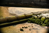 Enlarge photo 238