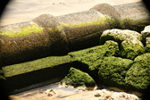 Enlarge photo 239
