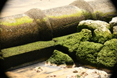 Enlarge photo 240