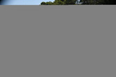 Enlarge photo 245