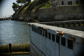 Enlarge photo 246