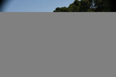 Enlarge photo 243