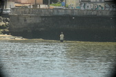 Enlarge photo 251