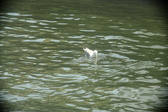 Enlarge photo 269