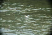 Enlarge photo 282