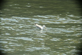 Enlarge photo 283