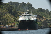 Enlarge photo 511