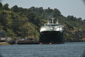 Enlarge photo 308