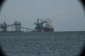 Enlarge photo 318