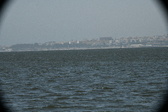 Enlarge photo 341