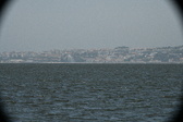 Enlarge photo 354