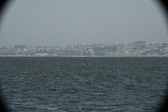 Enlarge photo 355