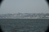 Enlarge photo 357