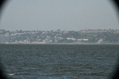 Enlarge photo 358