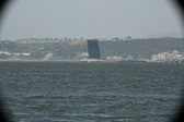 Enlarge photo 359