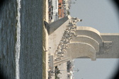 Enlarge photo 446