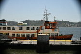 Enlarge photo 556