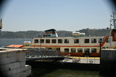 Enlarge photo 557