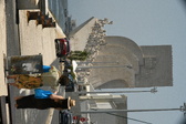 Enlarge photo 570