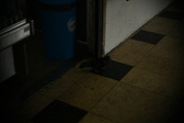Enlarge photo 582