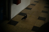 Enlarge photo 583