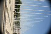 Enlarge photo 593