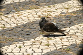 Enlarge photo 606