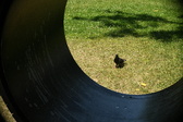 Enlarge photo 611