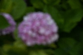 Enlarge photo 655