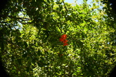 Enlarge photo 664