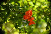 Enlarge photo 665