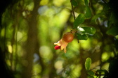Enlarge photo 668