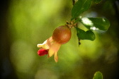 Enlarge photo 669