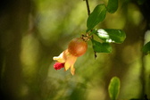 Enlarge photo 670