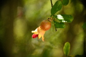 Enlarge photo 671