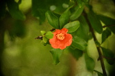 Enlarge photo 673
